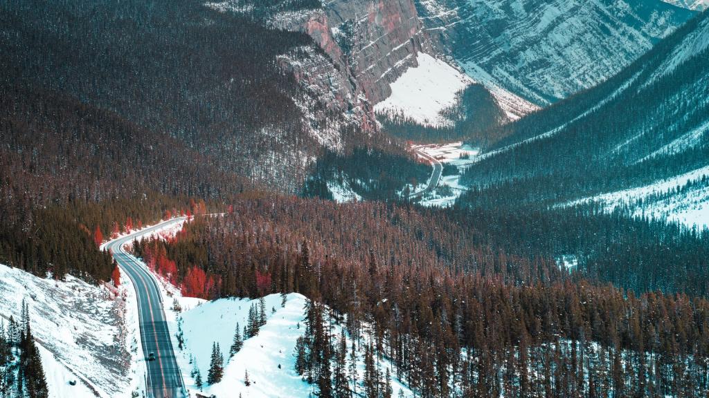 Out-Of-Province